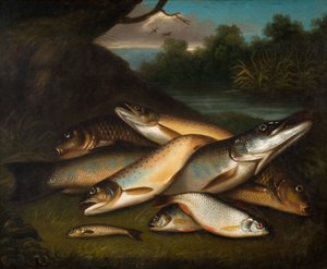 Pesce, 1790