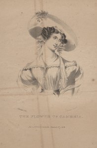 Il fiore di Cambria, litografia di C.G. Childs, 1830