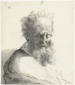Testa di un vecchio da Moses Ter Borch