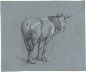 Studio di un cavallo da dietro, verso destra (serie Cavalli da lavoro in piedi) da Moses Ter Borch