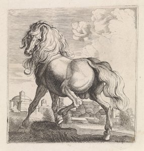 Cavallo da Moyses van Wtenbrouck (possibly)
