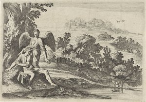 Tobia spaventato dal pesce