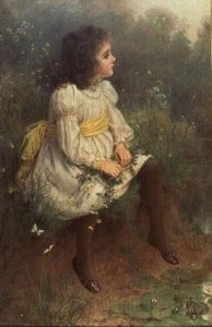 Ranuncoli da Mrs. Louisa Starr Canziani