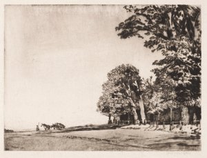 Brughiera di Hampstead