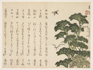 Grande albero e uccelli, c.1830-44 da Murata Kagen