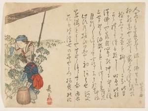 Raccoglitori di tè, c.1830-44