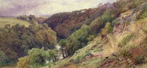 Una valle nel Devonshire da Myles Birket Foster