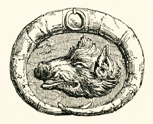 Canto della testa di cinghiale