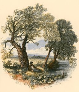 Passeggiate del sabato da Myles Birket Foster
