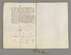 Certificato del trattato all