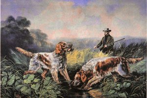 Sport di campo americani: Recupero