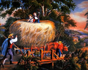Vita di campagna americana: Tempo di fienagione - L