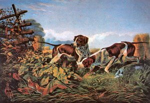 Sport di campagna americani: In punta da Currier and Ives