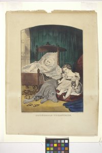 Tesori domestici