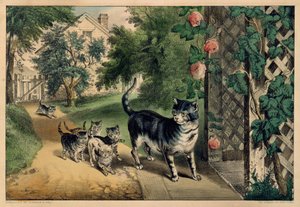 Il ritorno del gattino