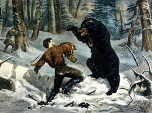 La vita dei Trapper (Cacciatori Professionisti) in Canada: un cacciatore è attaccato da un orso Grizzly. Illustrazione di Yves e Currier.