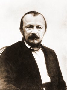 Ritratto di Gerard de Nerval, scrittore 1808-1855 (foto)