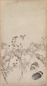 Cuccioli, Passeri e Crisantemi da Nagasawa Rosetsu