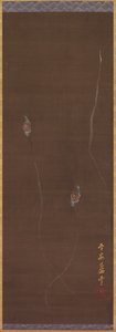 Lumache su un muro, 1700s