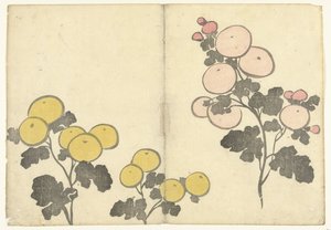 Fiori gialli e rosa stilizzati da Nakamura Hochu