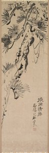 Pino invecchiato da Nakayama Koyo