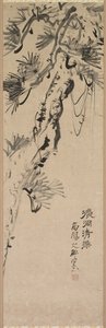Pino Vecchio da Nakayama Koyo