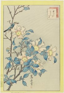 Uccello azzurro e fiori rosa