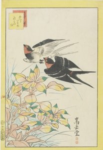 Rondini di ritorno e foglie rosse da Nakayama Sugakudo