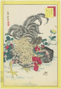 Gallo e lamponi da Nakayama Sugakudo