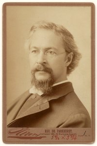 Charles Henry Parkhurst da Napoleon Sarony