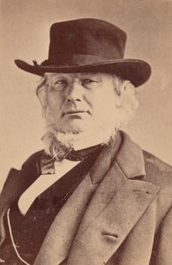 Ritratto di Horace Greeley 1811-1872, 1869 da Napoleon Sarony