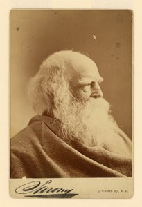 William Cullen Bryant da Napoleon Sarony