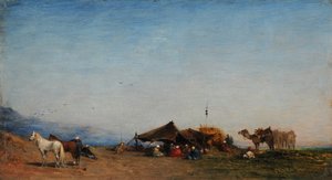 Campo arabo