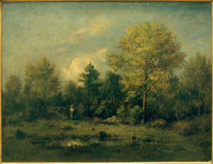 Paesaggio con stagno nel bosco