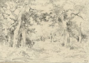 Paesaggio boschivo in estate da Narcisse Virgile Diaz de la Peña