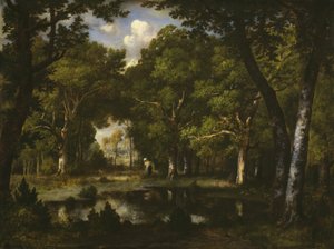 Stagno nel bosco