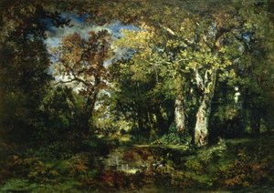 La foresta di Fontainebleau