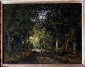 La strada nel bosco