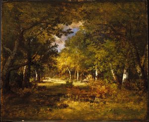 Scena forestale