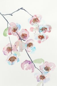 Delicati fiori rosa