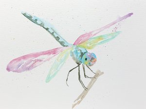 Libellule su un ramo dai colori pastello da Natalie Bruns