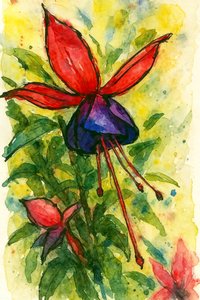 Fiore fucsia ad acquerello