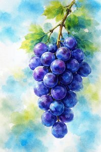 Acquerello con uva viola
