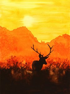 Sagoma di un cervo al tramonto da Natalie Bruns