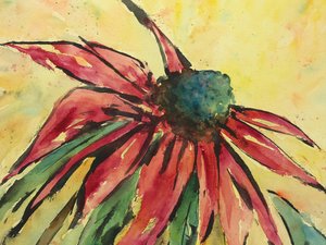Echinacea rosso vivo