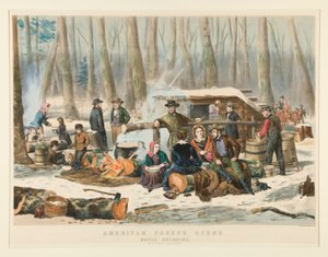 Scena forestale americana, raccolta dello sciroppo d