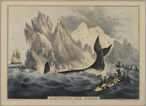 Cattura della balena