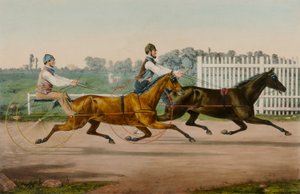 Flora Temple e Highland Maid