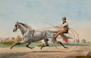 Eddy grigio da Nathaniel Currier