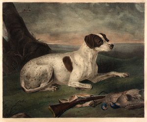 Giunone da Nathaniel Currier